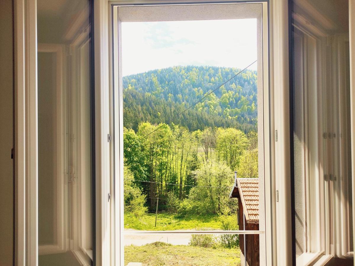 ⁂⁂ Le Chamois Appartement Cledicihome / Magnifique Vue Sur Les Montagnes / 4 Kms De Gerardmer ! ⁂⁂ Rochesson Dış mekan fotoğraf