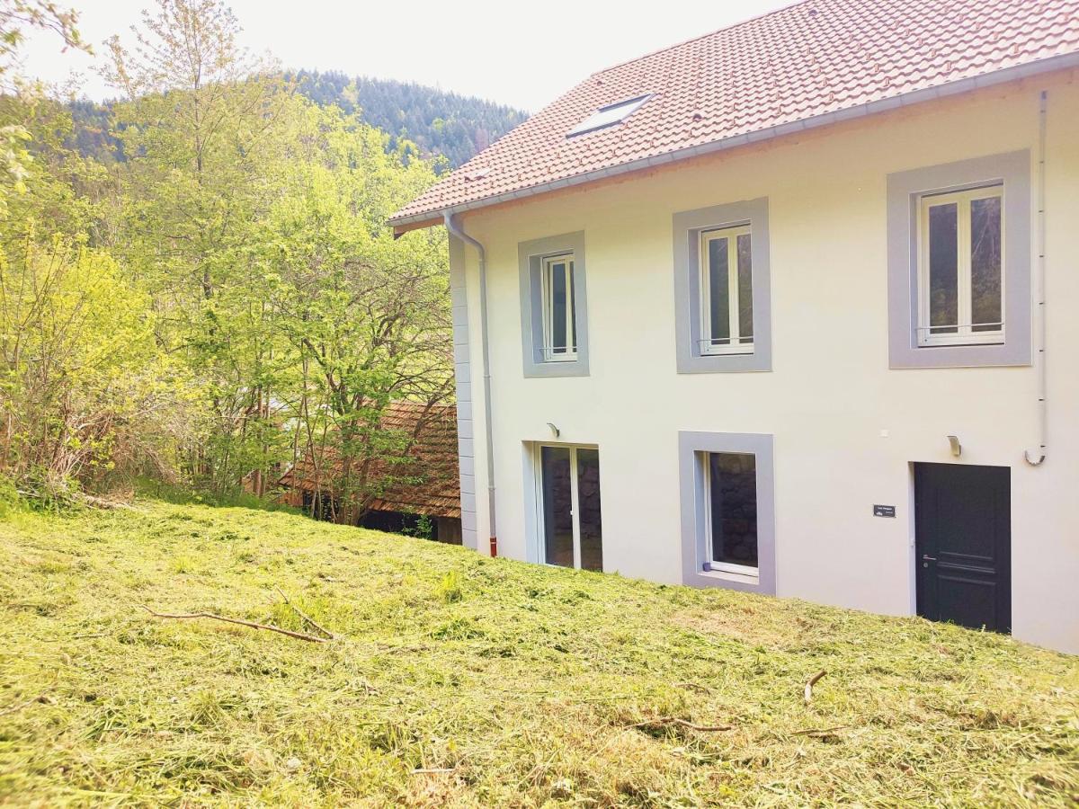 ⁂⁂ Le Chamois Appartement Cledicihome / Magnifique Vue Sur Les Montagnes / 4 Kms De Gerardmer ! ⁂⁂ Rochesson Dış mekan fotoğraf